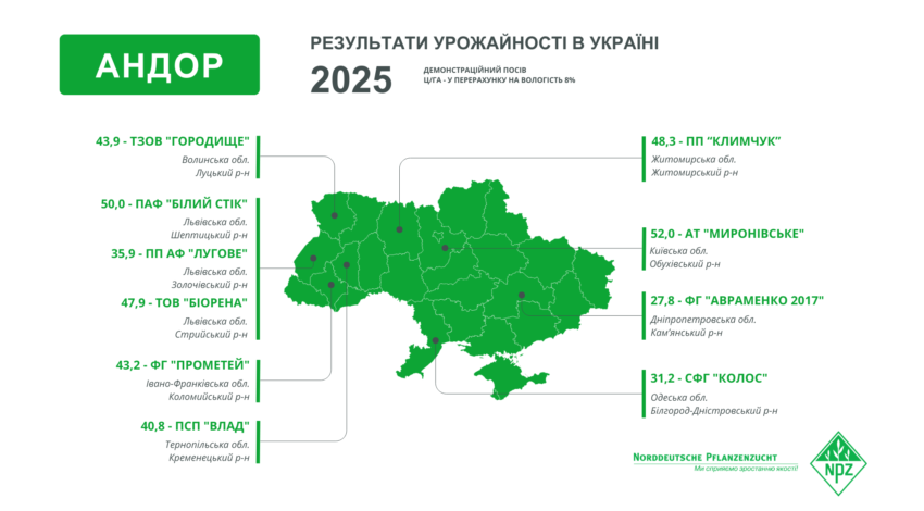 Озимий ріпак АНДОР 2