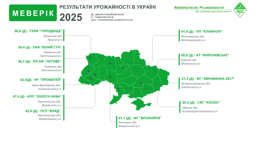 Озимий ріпак МЕВЕРІК 2